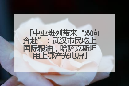 中亚班列带来“双向奔赴”：武汉市民吃上国际粮油，哈萨克斯坦用上鄂产光电屏