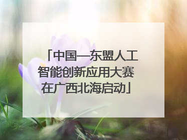 中国—东盟人工智能创新应用大赛在广西北海启动