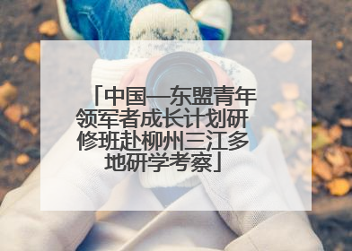 中国—东盟青年领军者成长计划研修班赴柳州三江多地研学考察