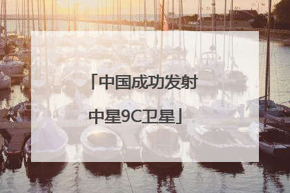 中国成功发射中星9C卫星