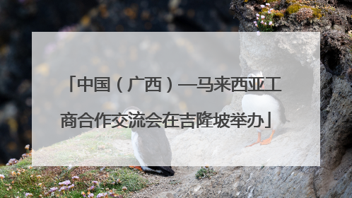 中国（广西）—马来西亚工商合作交流会在吉隆坡举办