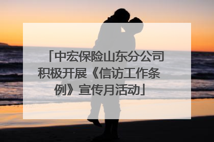 中宏保险山东分公司积极开展《信访工作条例》宣传月活动