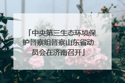 中央第三生态环境保护督察组督察山东省动员会在济南召开