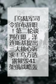 乌陆军司令宣布辞职！第二轮谈判在即，泽连斯基提出三大核心诉求！乌方透露摧毁41架俄战略轰炸机