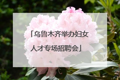 乌鲁木齐举办妇女人才专场招聘会