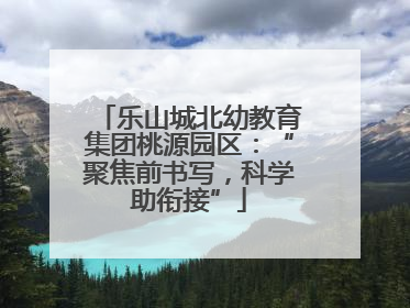 乐山城北幼教育集团桃源园区：“聚焦前书写，科学助衔接”