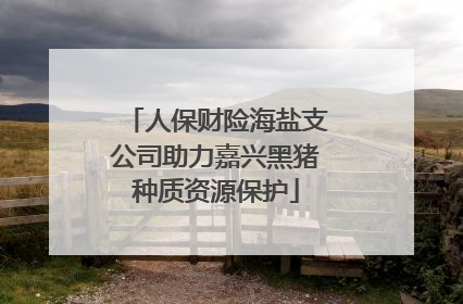 人保财险海盐支公司助力嘉兴黑猪种质资源保护