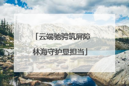 云端驰骋筑屏障 林海守护显担当