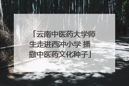 云南中医药大学师生走进西冲小学 播撒中医药文化种子