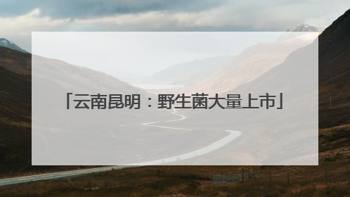 云南昆明：野生菌大量上市
