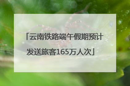 云南铁路端午假期预计发送旅客165万人次