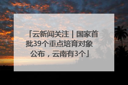 云新闻关注｜国家首批39个重点培育对象公布，云南有3个