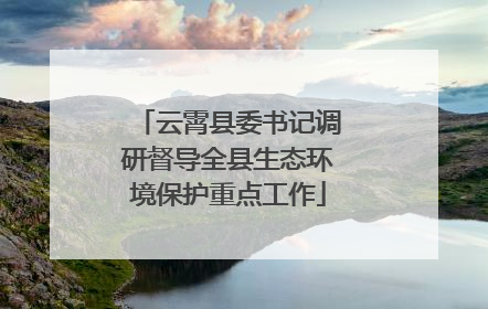 云霄县委书记调研督导全县生态环境保护重点工作