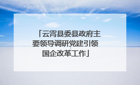 云霄县委县政府主要领导调研党建引领国企改革工作