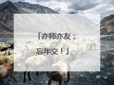 亦师亦友，忘年交！