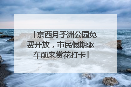 京西月季洲公园免费开放，市民假期驱车前来赏花打卡