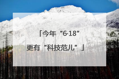 今年“6·18”更有“科技范儿”