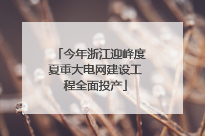 今年浙江迎峰度夏重大电网建设工程全面投产