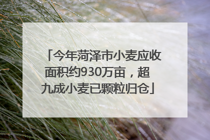 今年菏泽市小麦应收面积约930万亩，超九成小麦已颗粒归仓