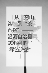 从“穷山沟”到“茶香谷”——沿河自治县志强村的“绿色逆袭”