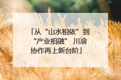 从“山水相依”到“产业相融” 川渝协作再上新台阶