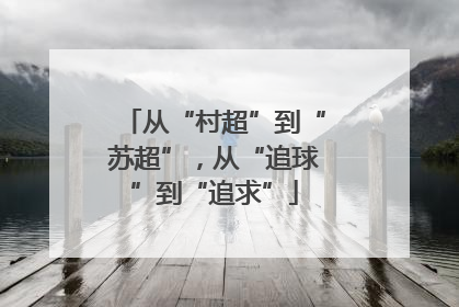 从“村超”到“苏超”，从“追球”到“追求”