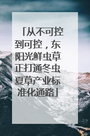从不可控到可控，东阳光鲜虫草正打通冬虫夏草产业标准化通路
