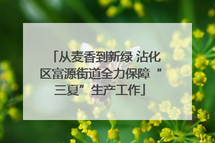 从麦香到新绿 沾化区富源街道全力保障“三夏”生产工作