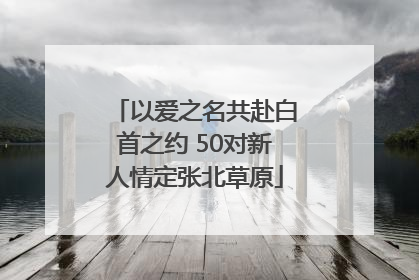以爱之名共赴白首之约 50对新人情定张北草原