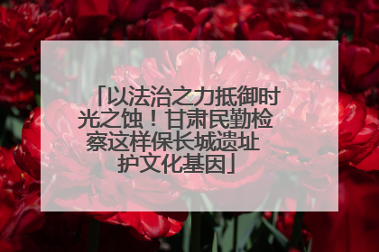 以法治之力抵御时光之蚀！甘肃民勤检察这样保长城遗址 护文化基因