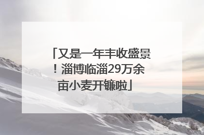 又是一年丰收盛景！淄博临淄29万余亩小麦开镰啦