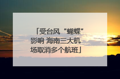 受台风“蝴蝶”影响 海南三大机场取消多个航班
