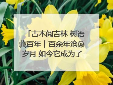 古木阅吉林 树语藏百年｜百余年沧桑岁月 如今它成为了“镇园之宝”
