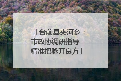 台前县夹河乡：市政协调研指导 精准把脉开良方