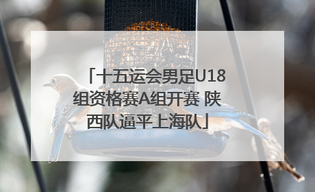 十五运会男足U18组资格赛A组开赛 陕西队逼平上海队