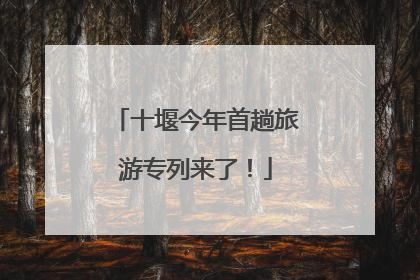 十堰今年首趟旅游专列来了！