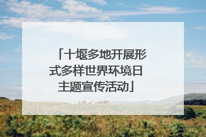 十堰多地开展形式多样世界环境日主题宣传活动