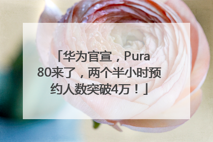 华为官宣，Pura 80来了，两个半小时预约人数突破4万！