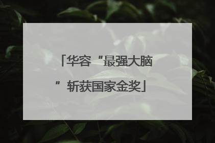华容“最强大脑”斩获国家金奖
