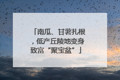 南瓜、甘薯扎根，低产丘陵地变身致富“聚宝盆”