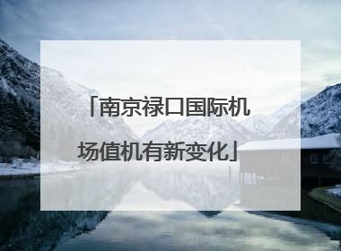 南京禄口国际机场值机有新变化
