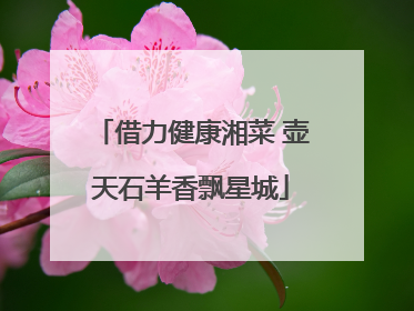 借力健康湘菜 壶天石羊香飘星城