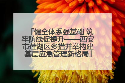 健全体系强基础 筑牢防线促提升——西安市莲湖区多措并举构建基层应急管理新格局