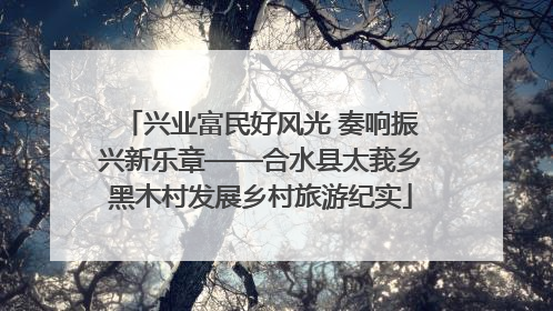 兴业富民好风光 奏响振兴新乐章——合水县太莪乡黑木村发展乡村旅游纪实