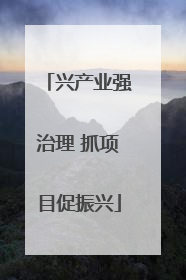 兴产业强治理 抓项目促振兴