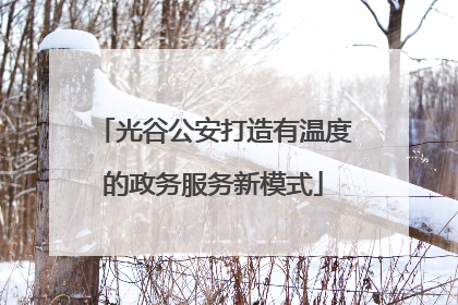 光谷公安打造有温度的政务服务新模式