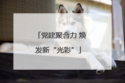 党建聚合力 焕发新“光彩”