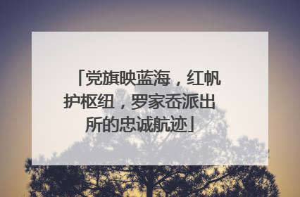 党旗映蓝海，红帆护枢纽，罗家岙派出所的忠诚航迹
