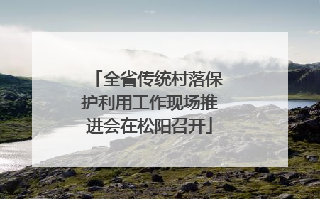 全省传统村落保护利用工作现场推进会在松阳召开