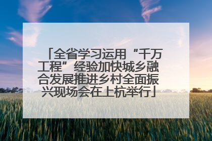 全省学习运用“千万工程”经验加快城乡融合发展推进乡村全面振兴现场会在上杭举行